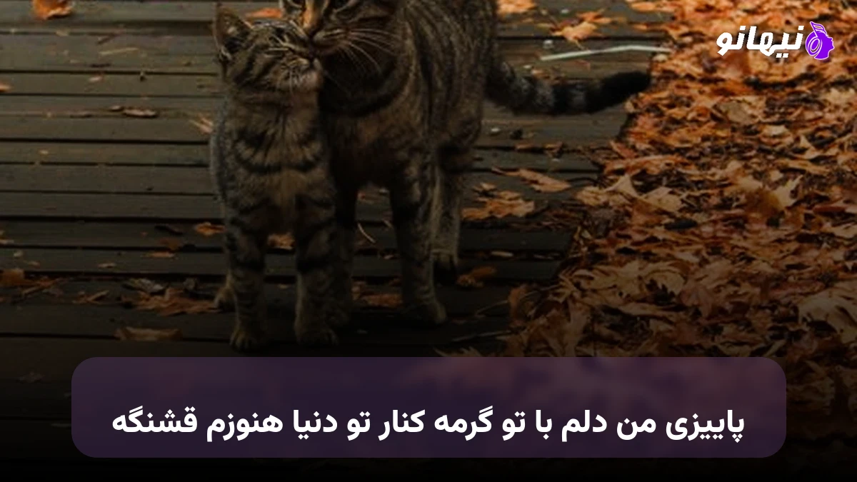 دانلود آهنگ پاییزی من دلم با تو گرمه کنار تو دنیا هنوزم قشنگه 